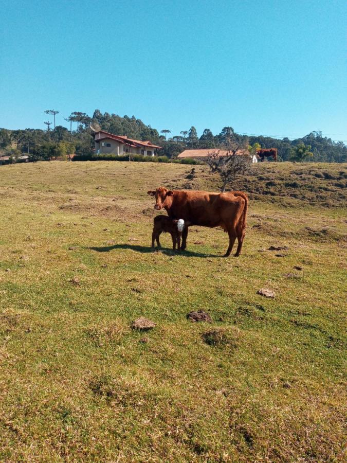 Pousada Landhaus ウルビシ エクステリア 写真